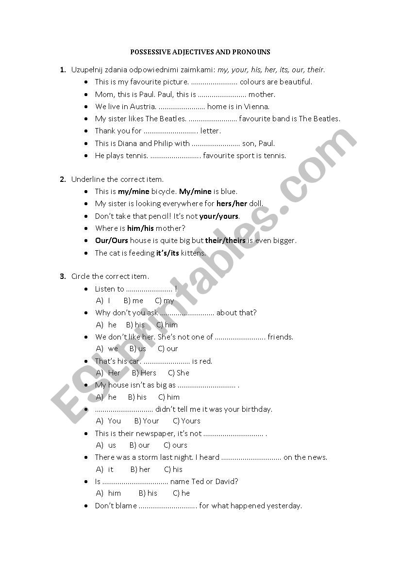 POSSESSIVE ADJECTIVES AND PRONOUNS