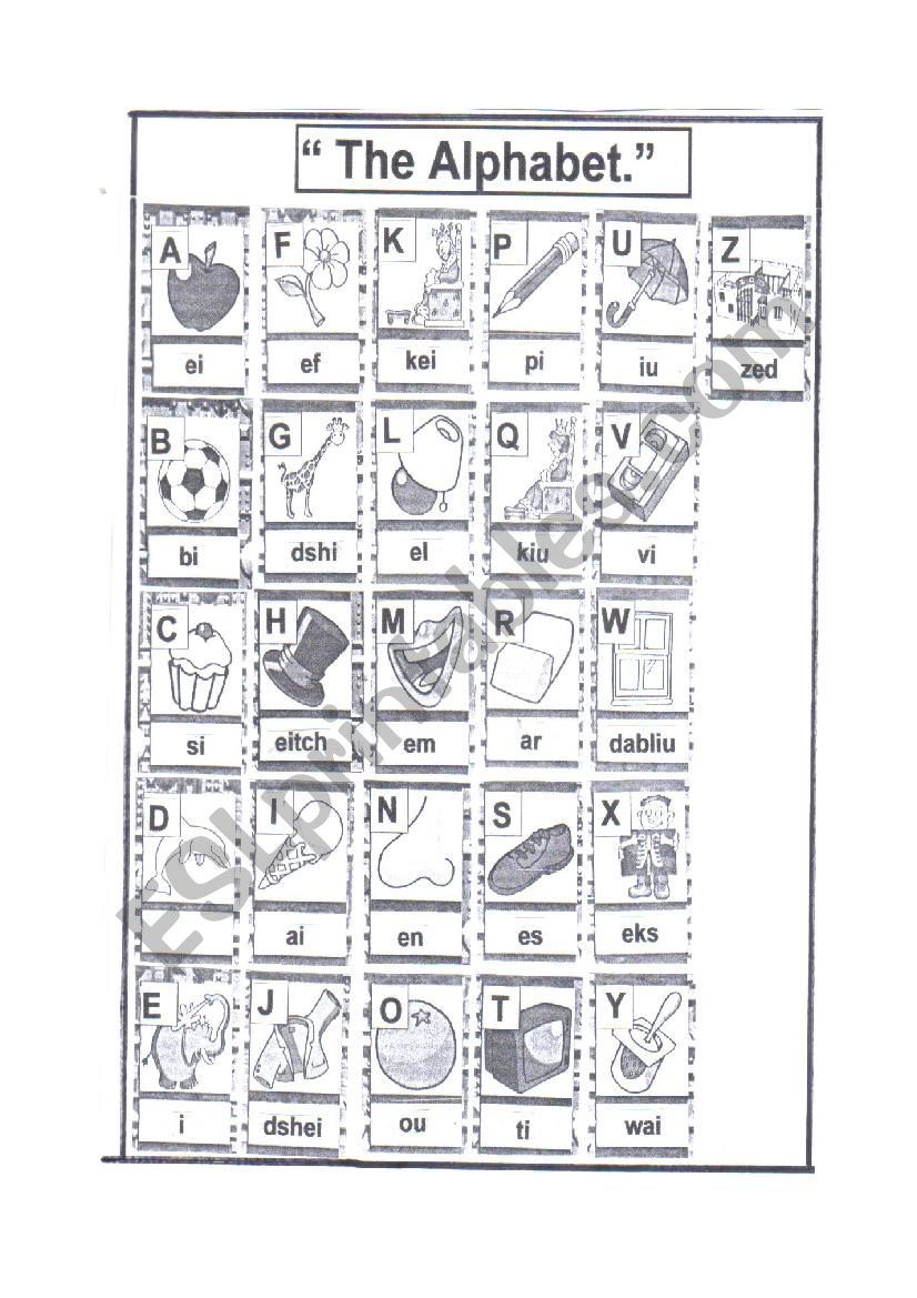 the alphabet worksheet