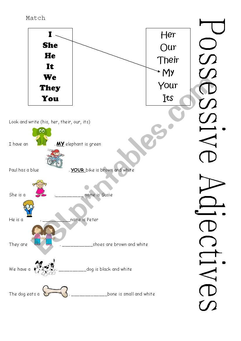possessive adjectives worksheet