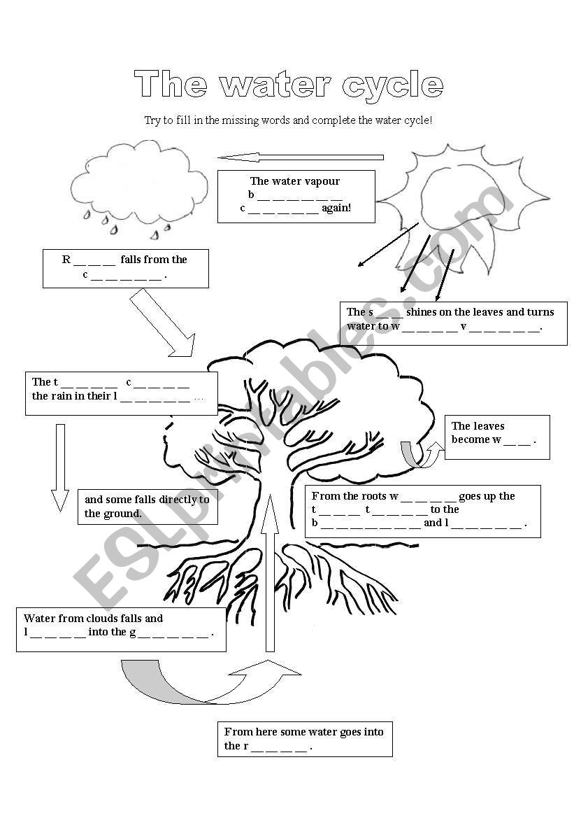 WATER CYCLE worksheet