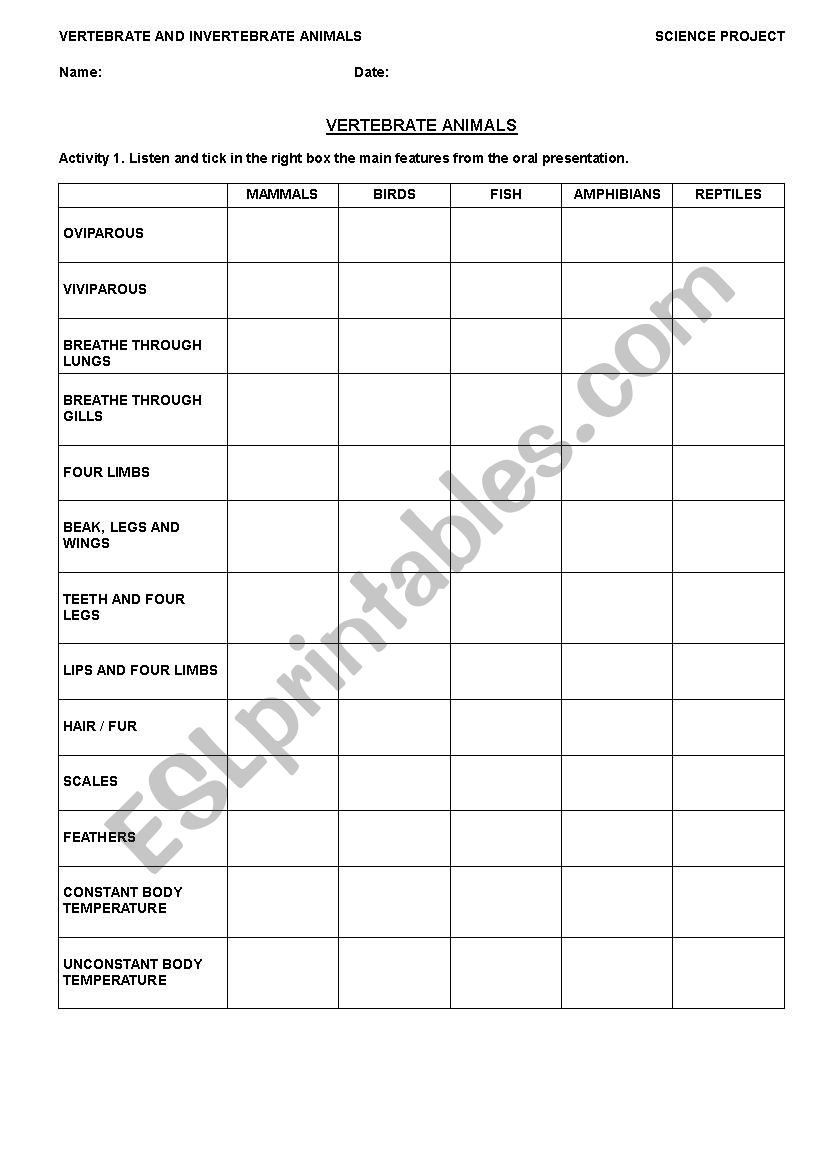 Vertebrates and invertebrates worksheet