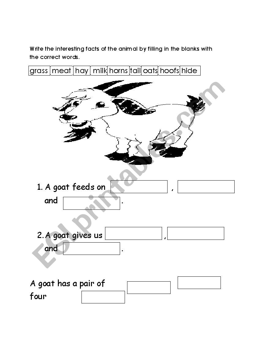  A goat worksheet