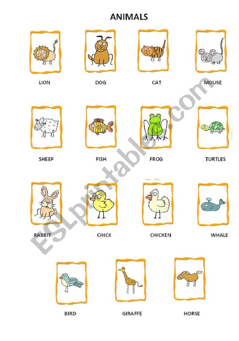 animal worksheet