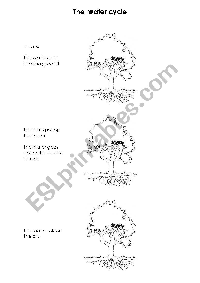 The water cycle worksheet