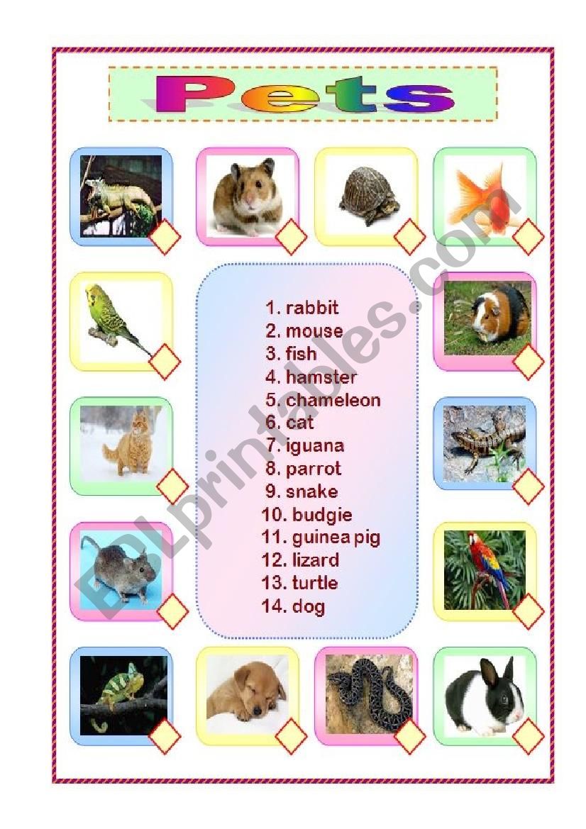 My pets worksheet