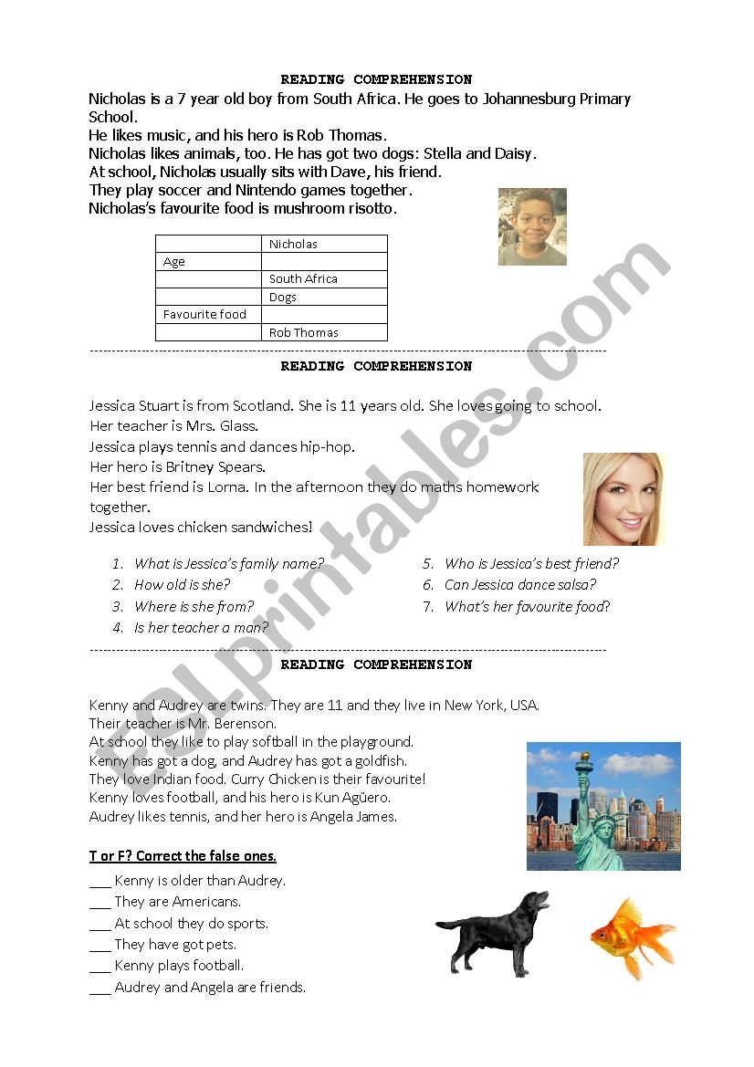 reading comprehension worksheet