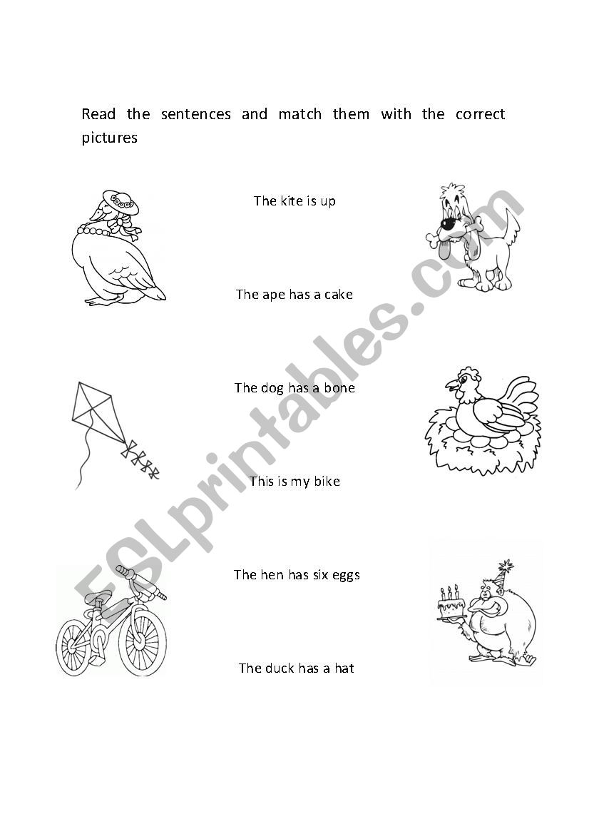 animals worksheet