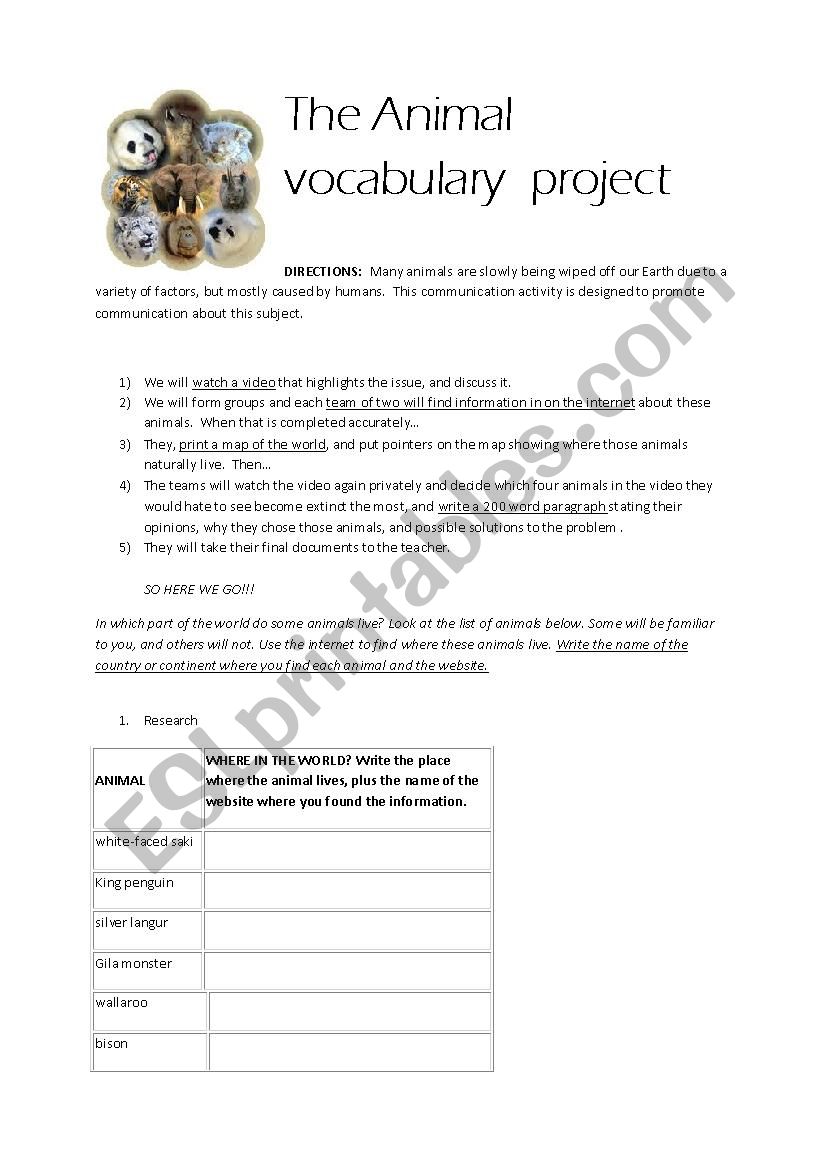 The Ani-Mazing Race worksheet
