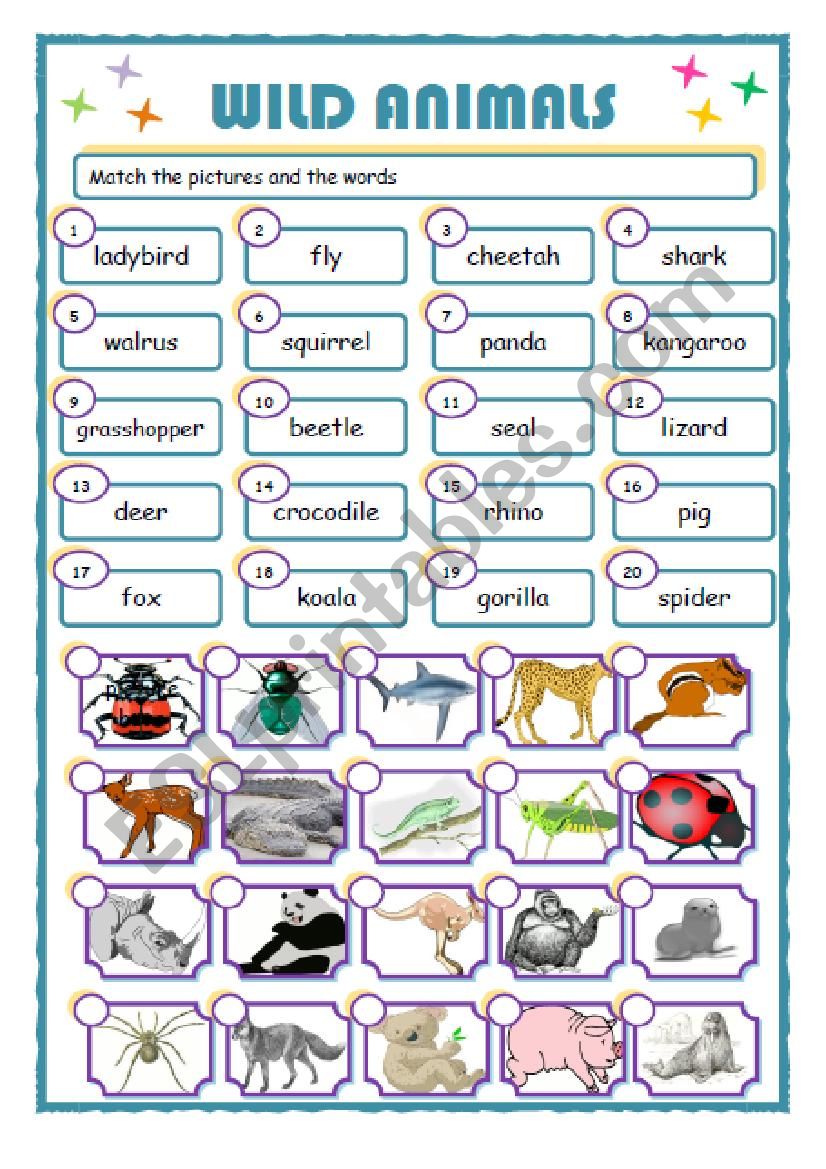 WILD Animals worksheet