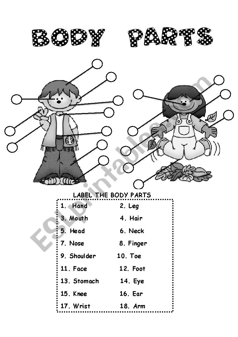 BODY PARTS worksheet