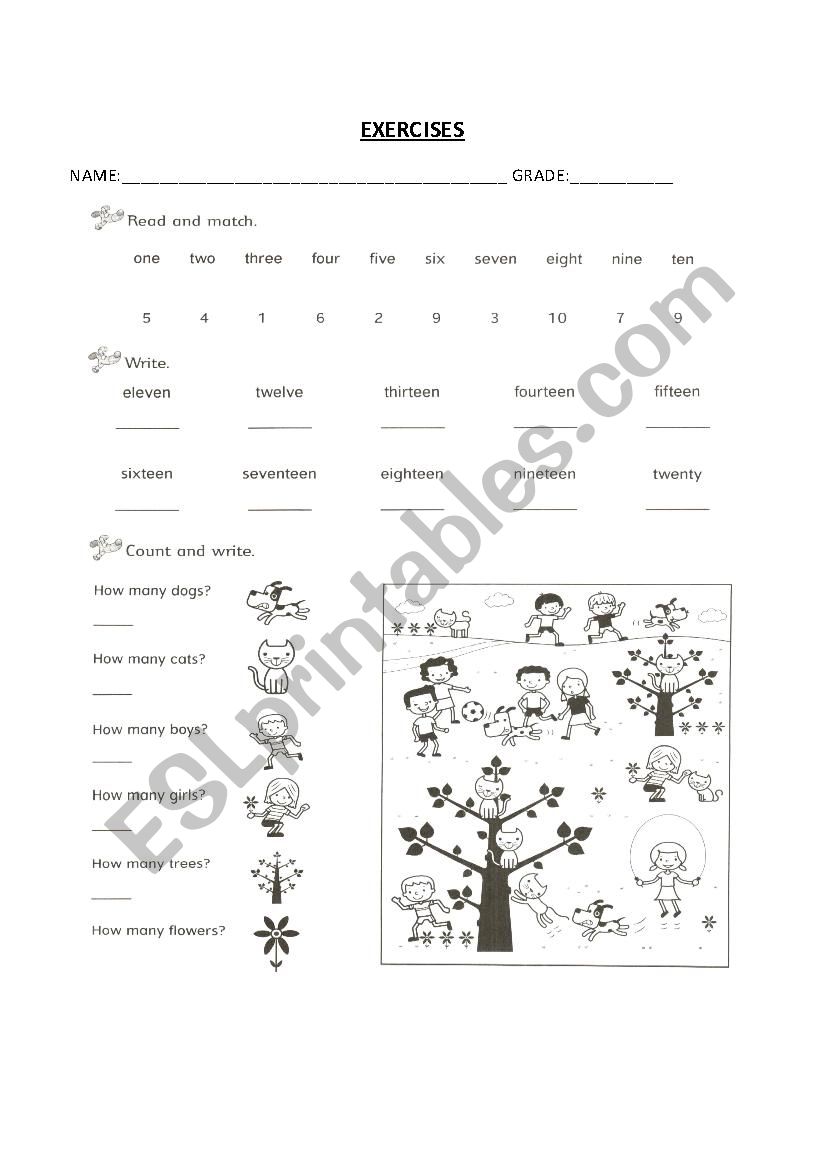 numbers worksheet