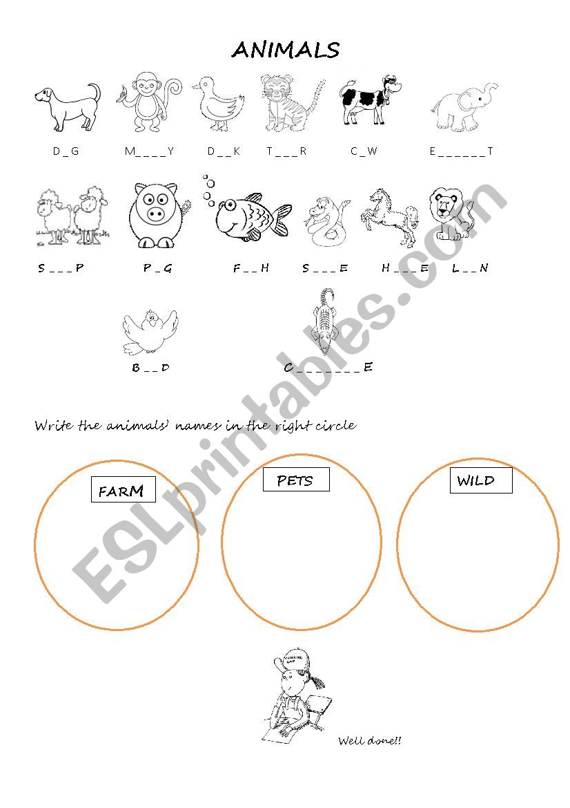 animals worksheet