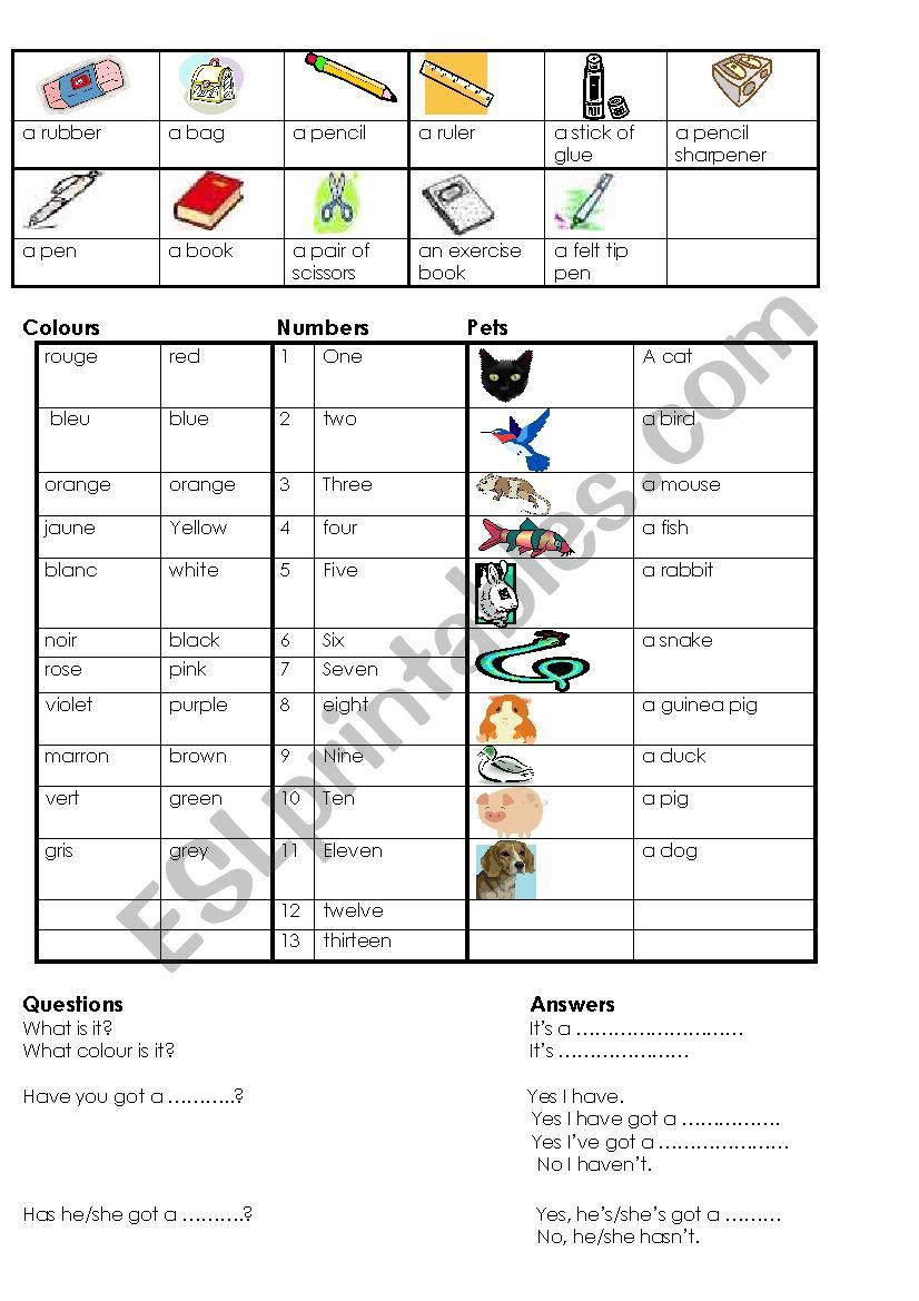 questions and answers  worksheet