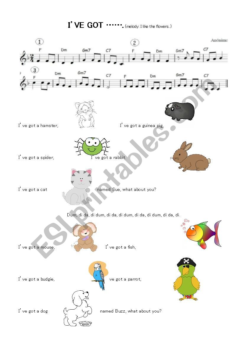 Pets song worksheet