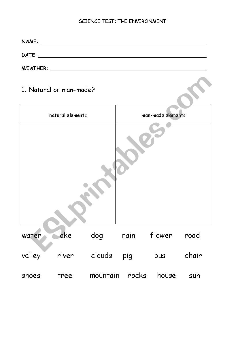 environment worksheet