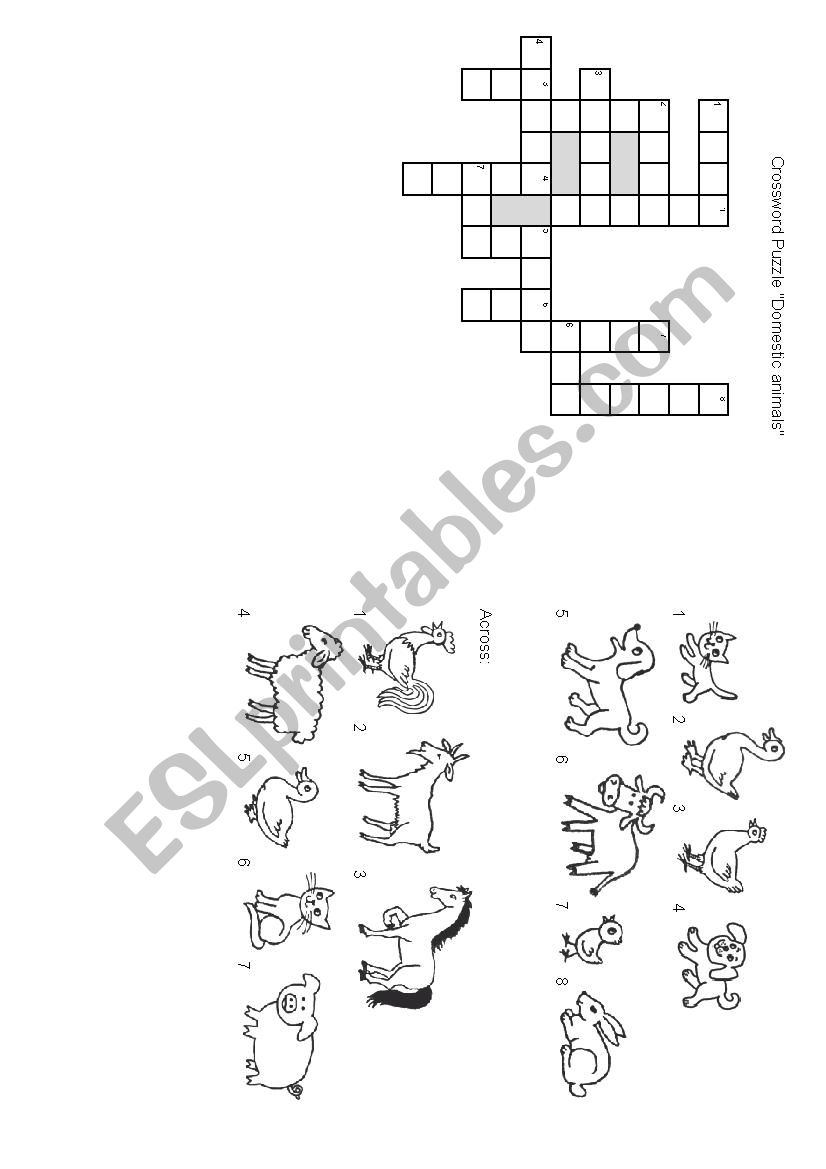 Crossword domestic animals worksheet