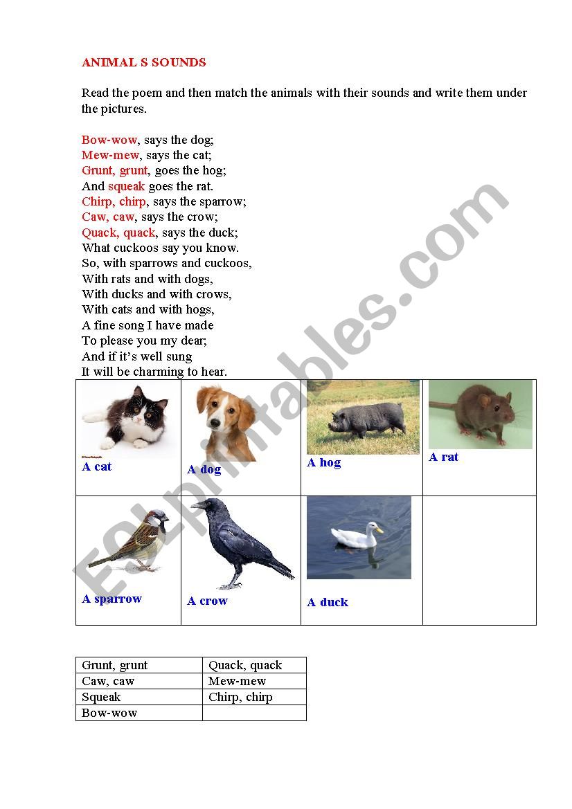 Animal Sounds - ESL worksheet by korova-daisy
