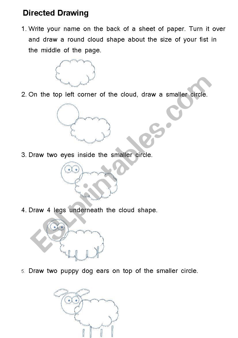 Directed drwaing activity - drawing a sheep