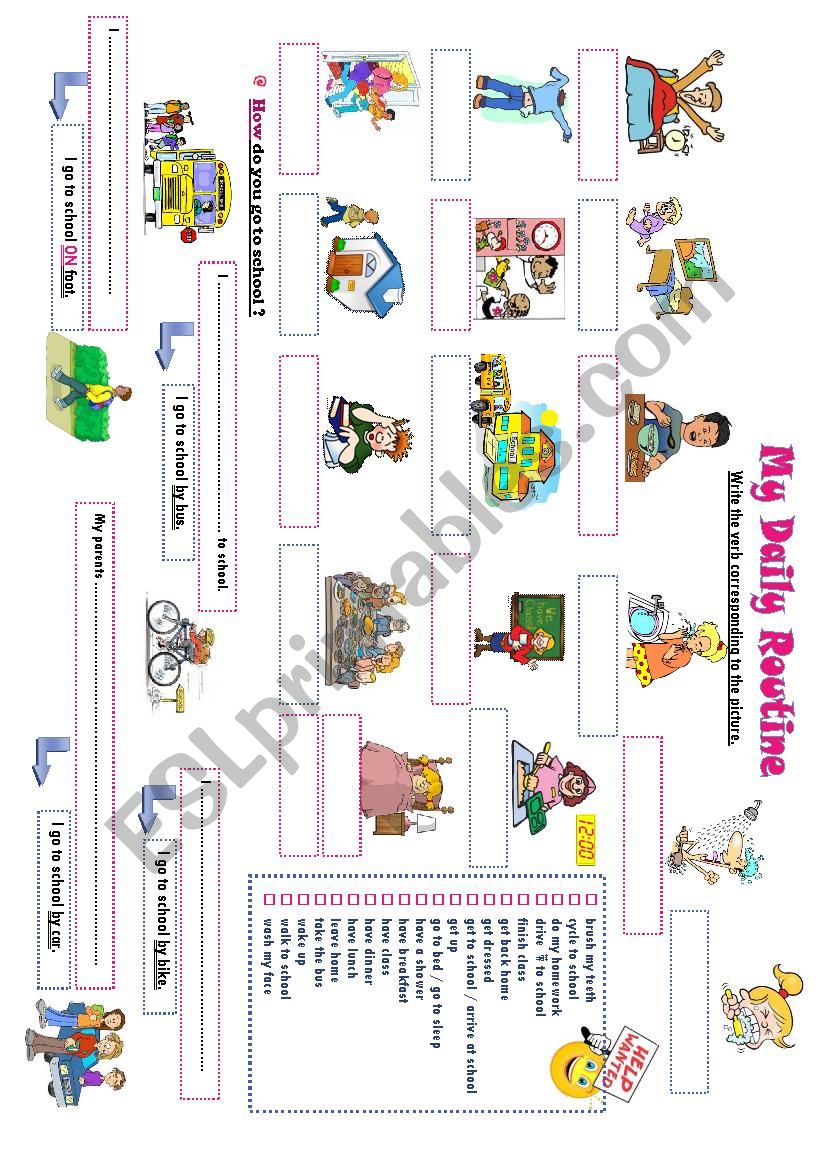 Daily routine pictionary worksheet