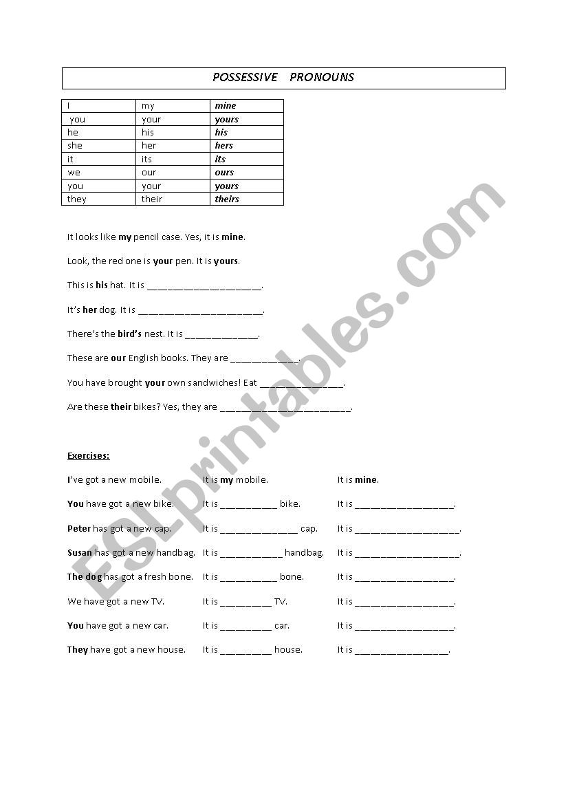 possessove pronouns worksheet