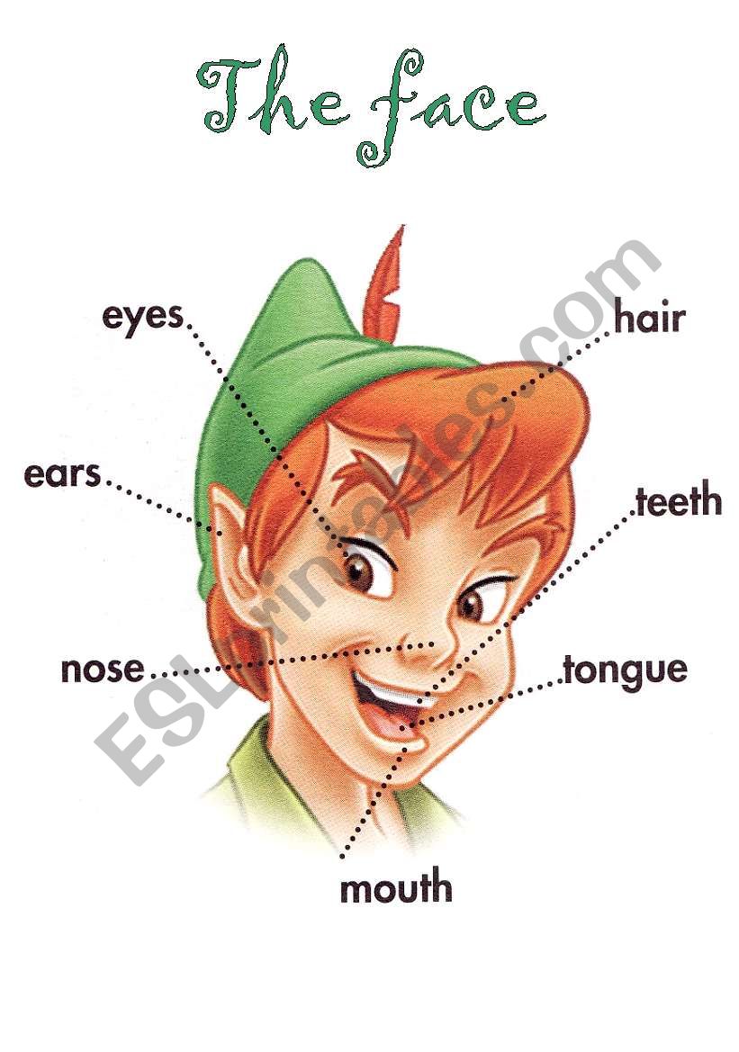 The Face worksheet