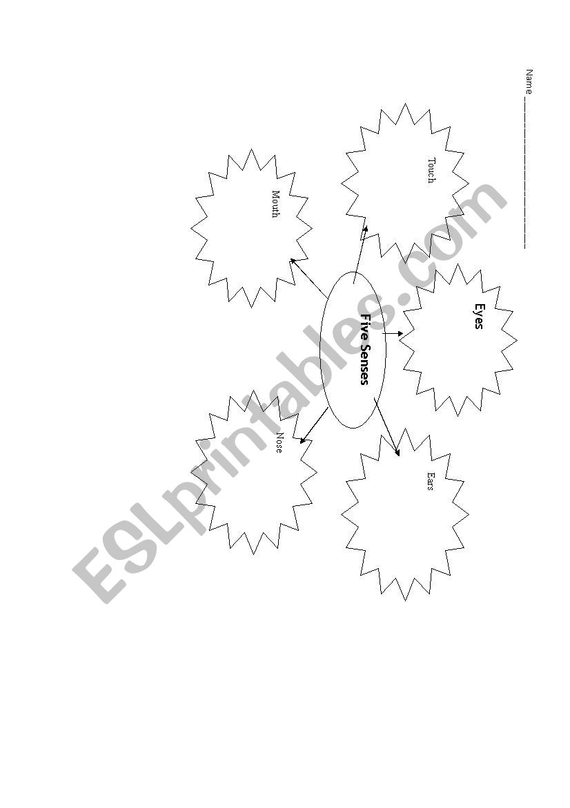 Five Senses Mind Map worksheet