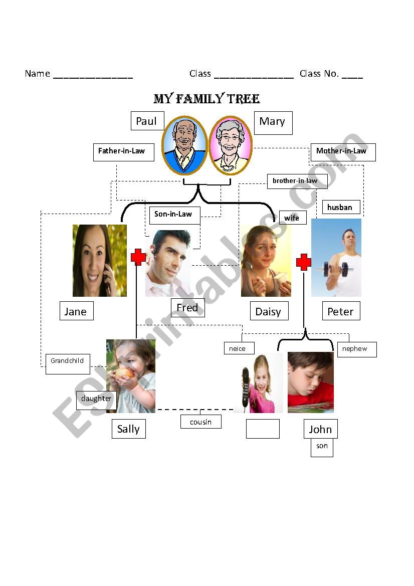 family tree worksheet worksheet