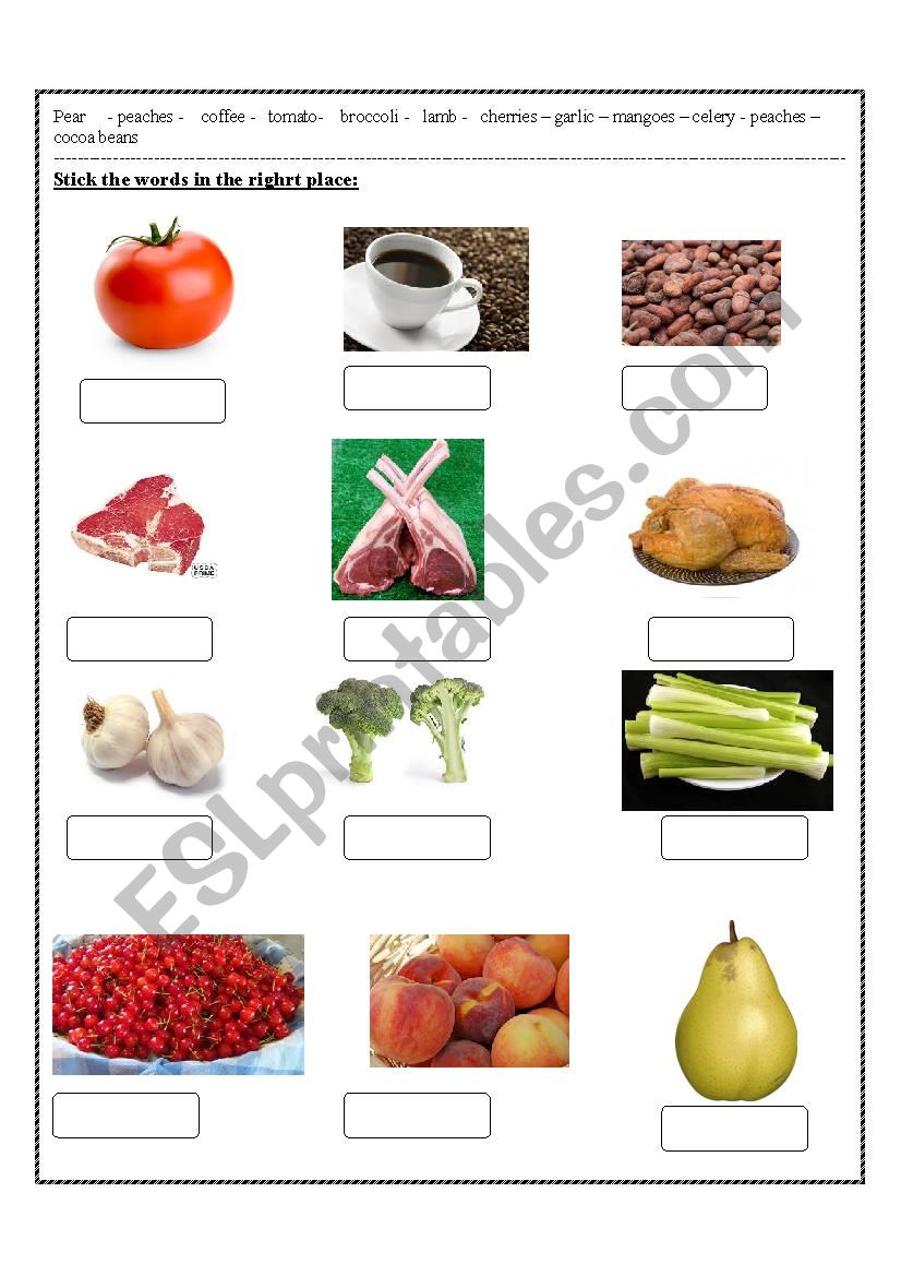 food worksheet