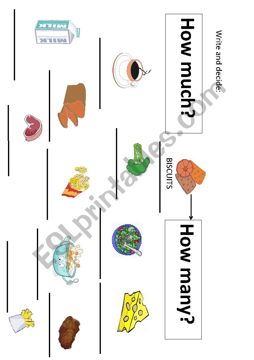 HOW MUCH OR HOW MANY? worksheet