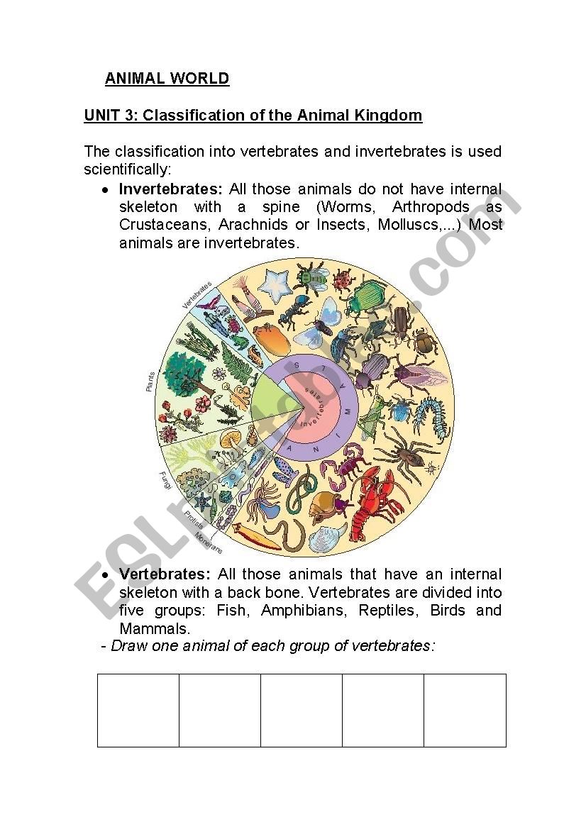 Animal classification worksheet