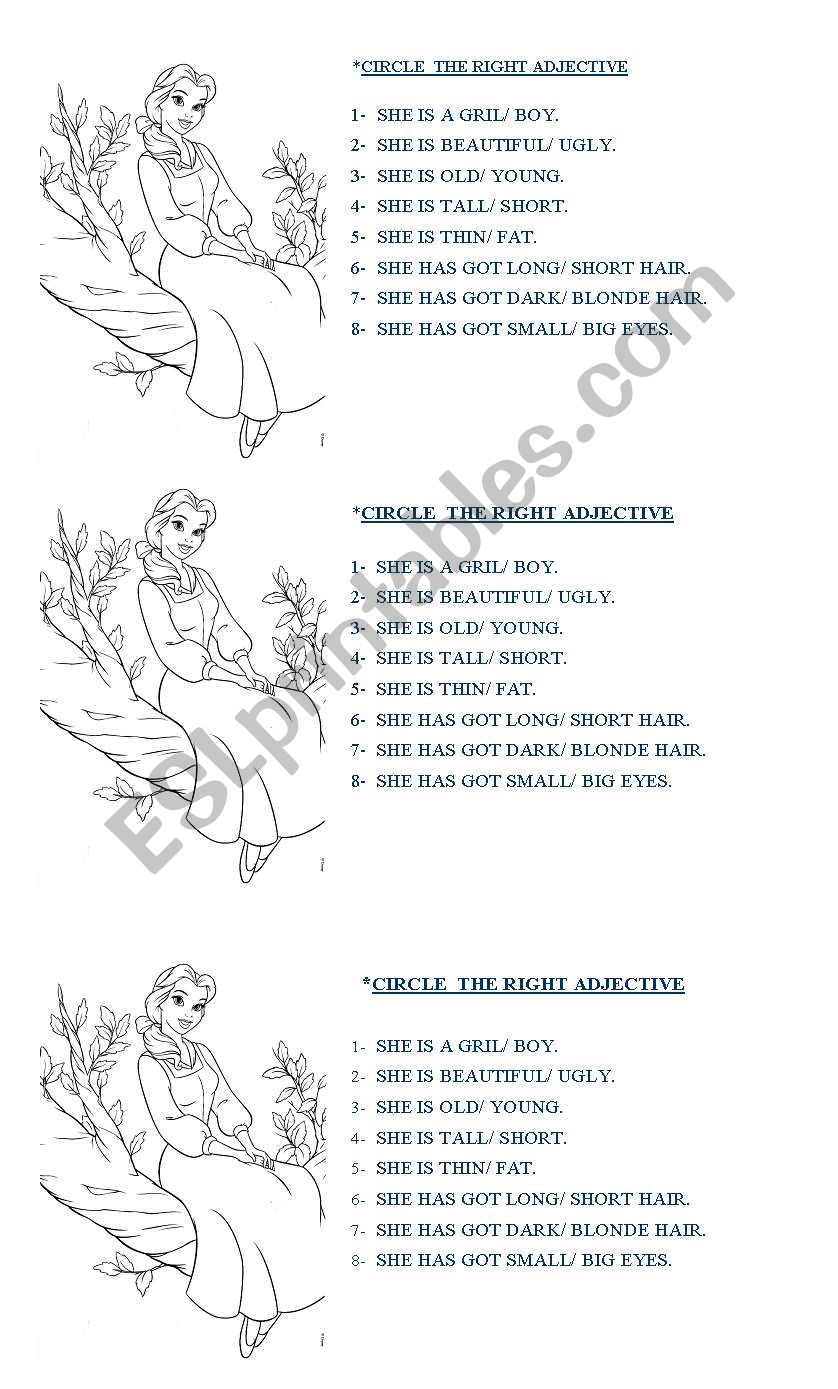 the beauty worksheet