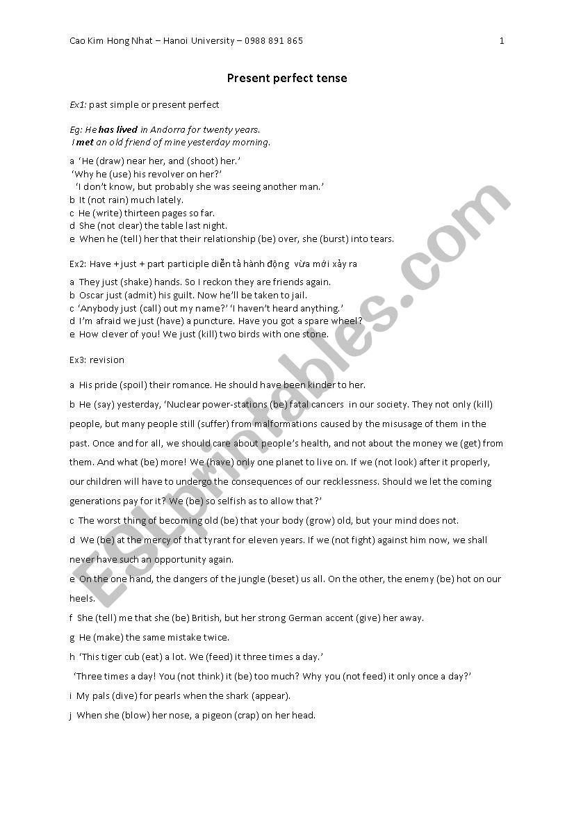 present perfect and past perfect practice