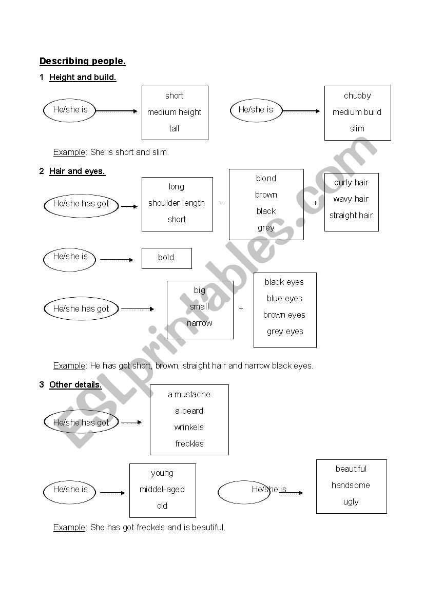 Describing people worksheet