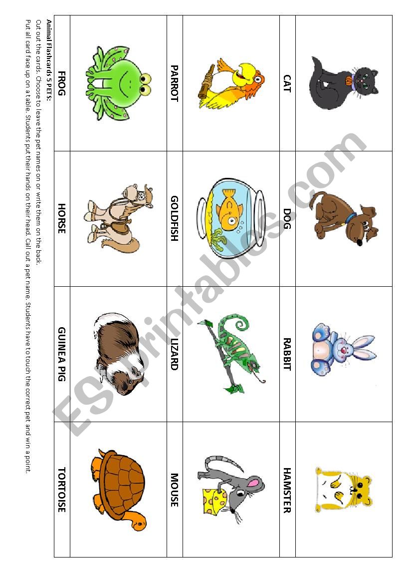 Animal Â´PetsÂ´ flashcards 5 & Game