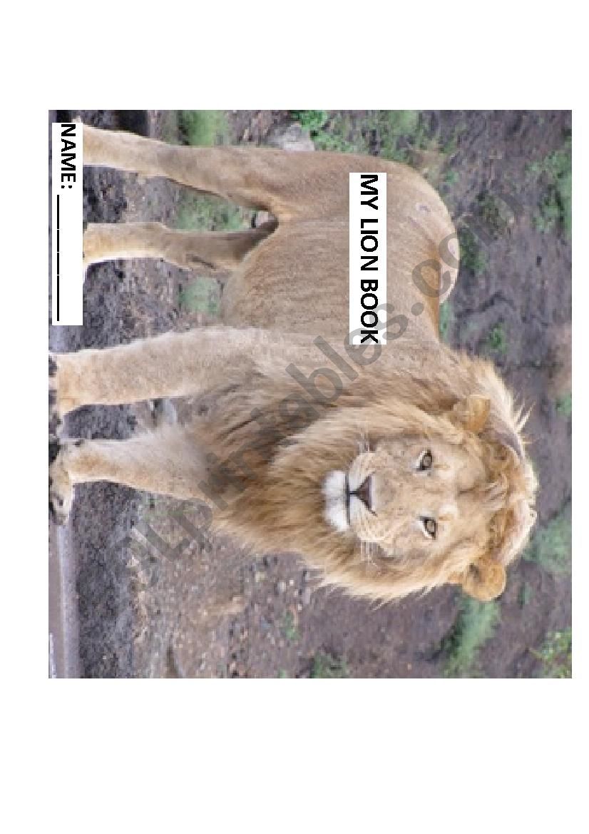 Lion Booklet worksheet