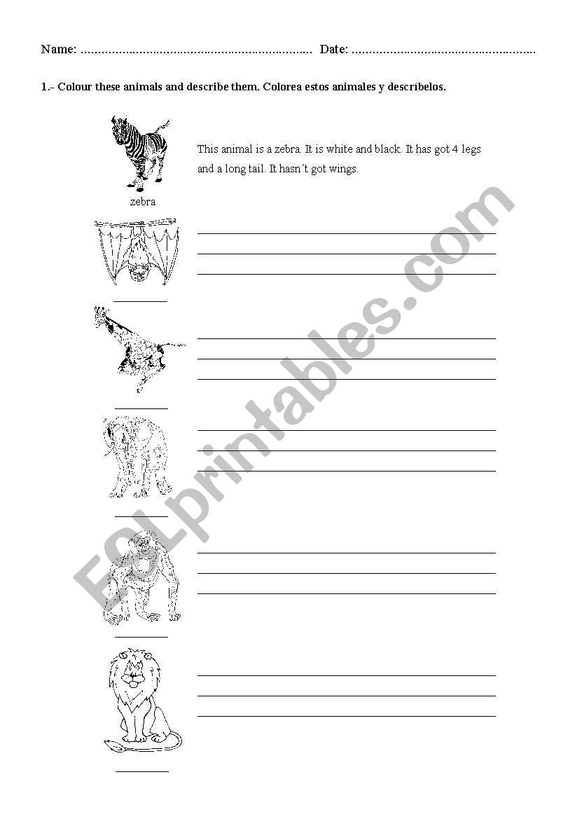 ANIMALS worksheet