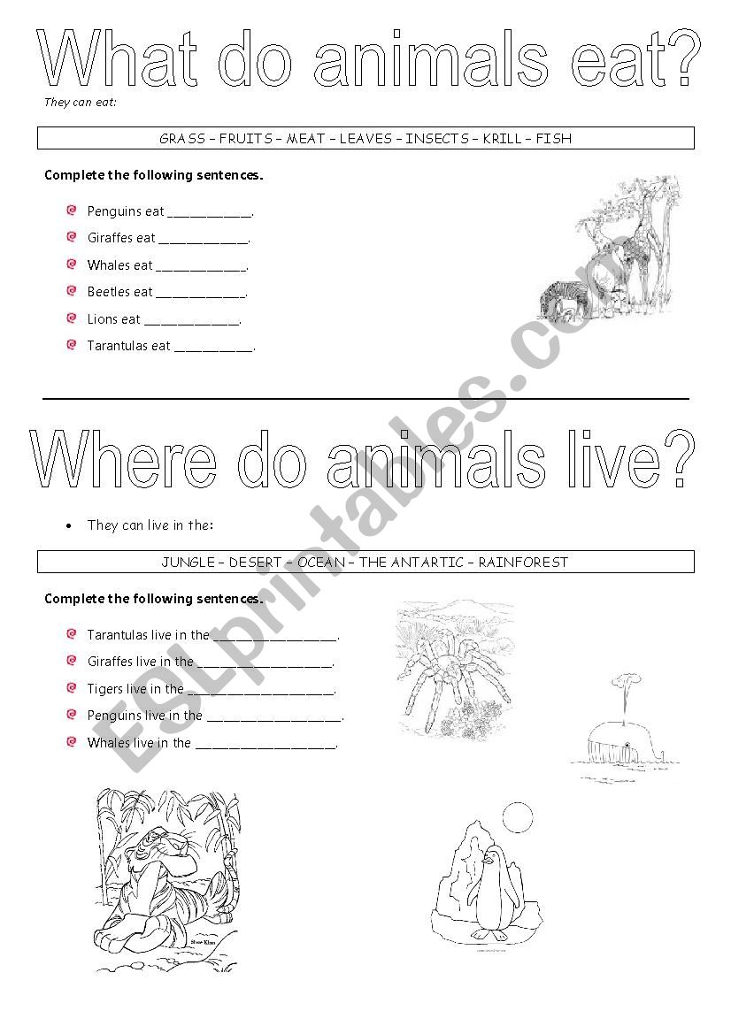 What they eat and where they live