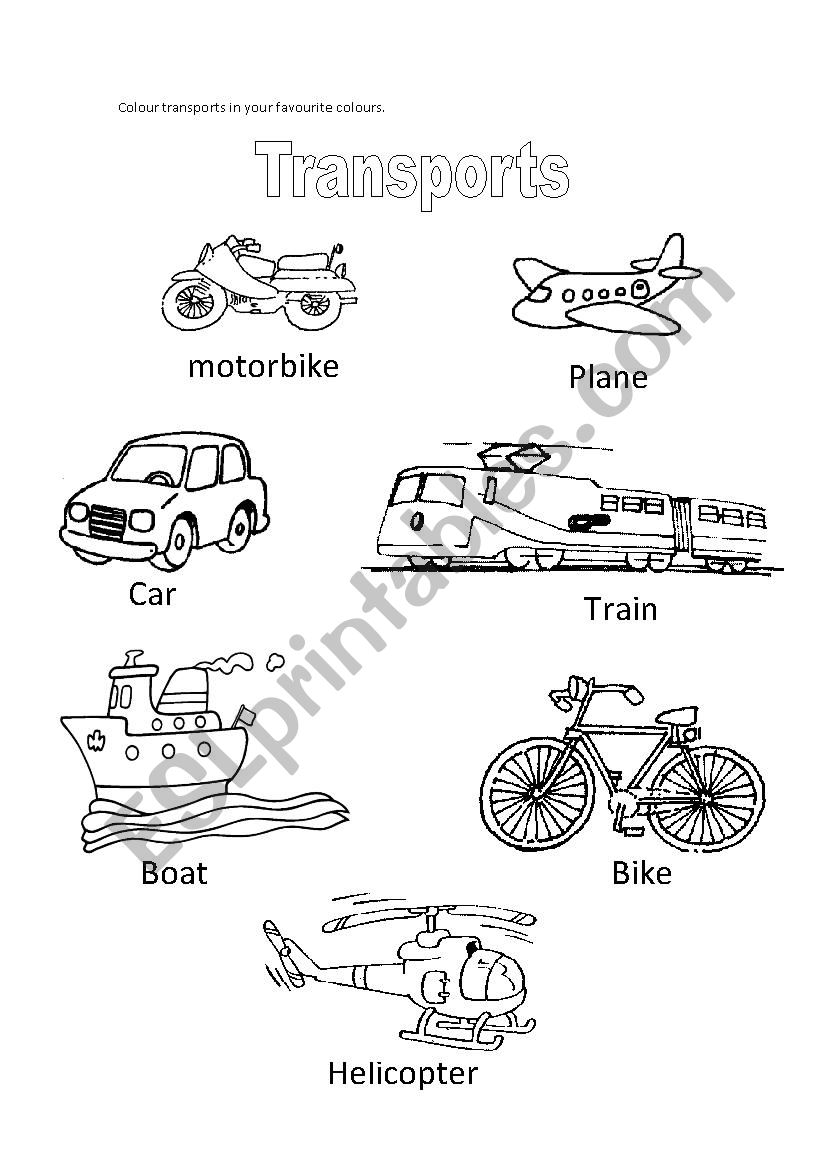 Transports worksheet