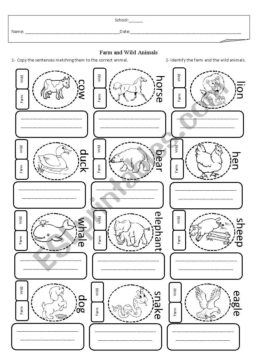 Farm and wild animals worksheet