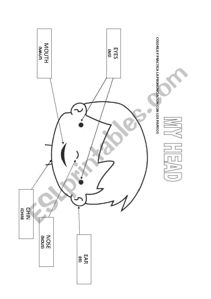 head worksheet