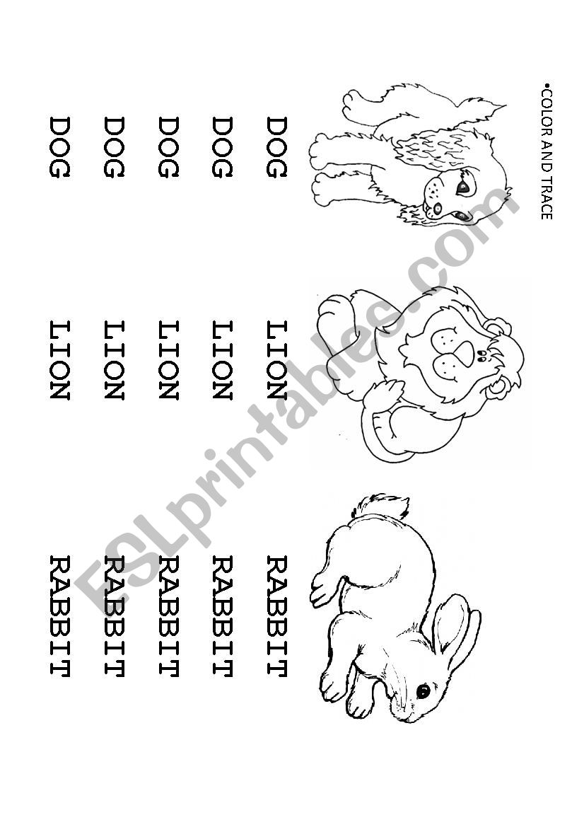 The animals worksheet