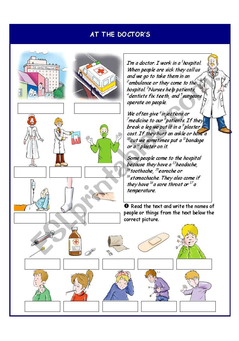 At the doctorÂ´s worksheet