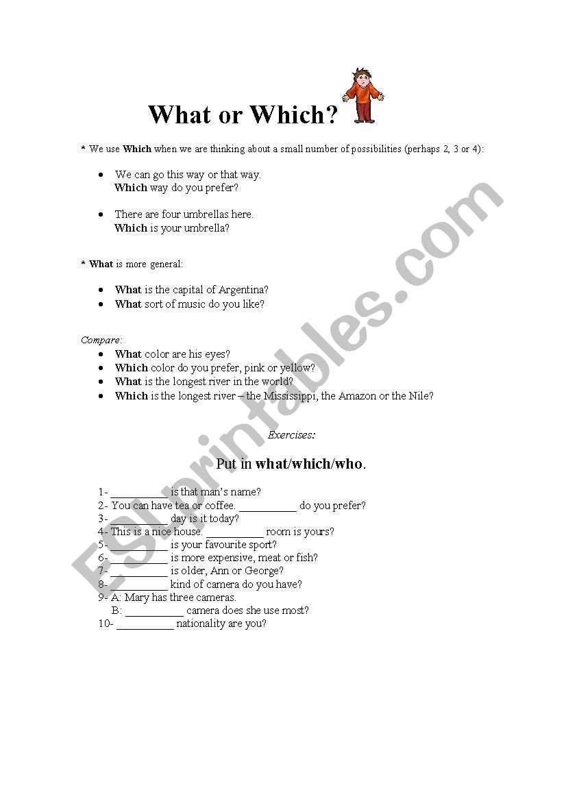 What or Which worksheet