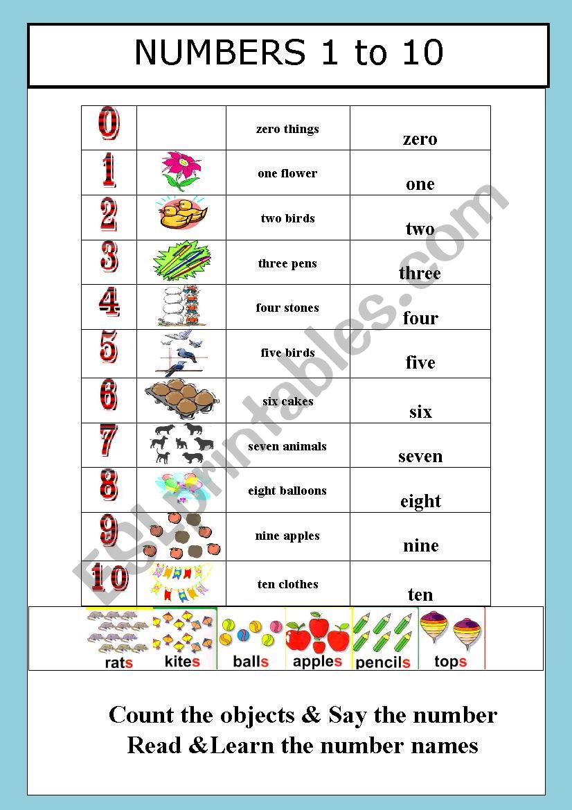 Numbers worksheet