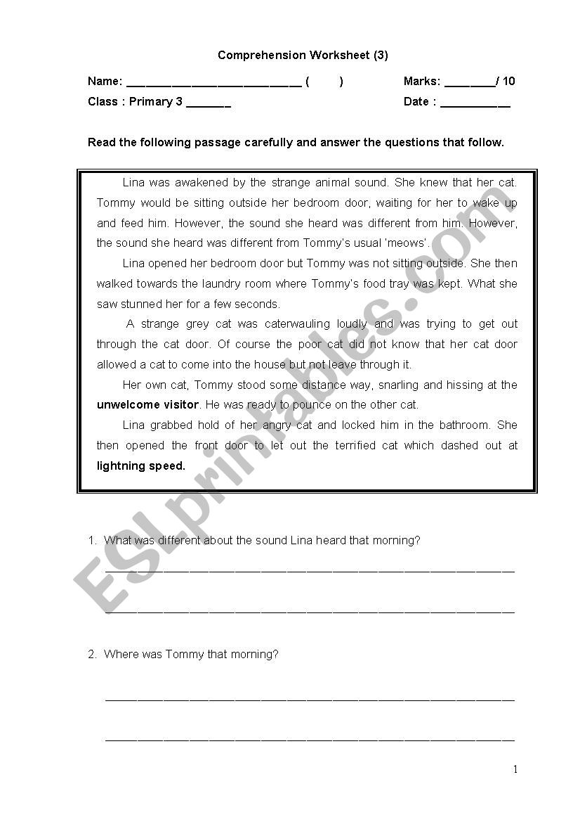 Comprehension for Grade 3 above