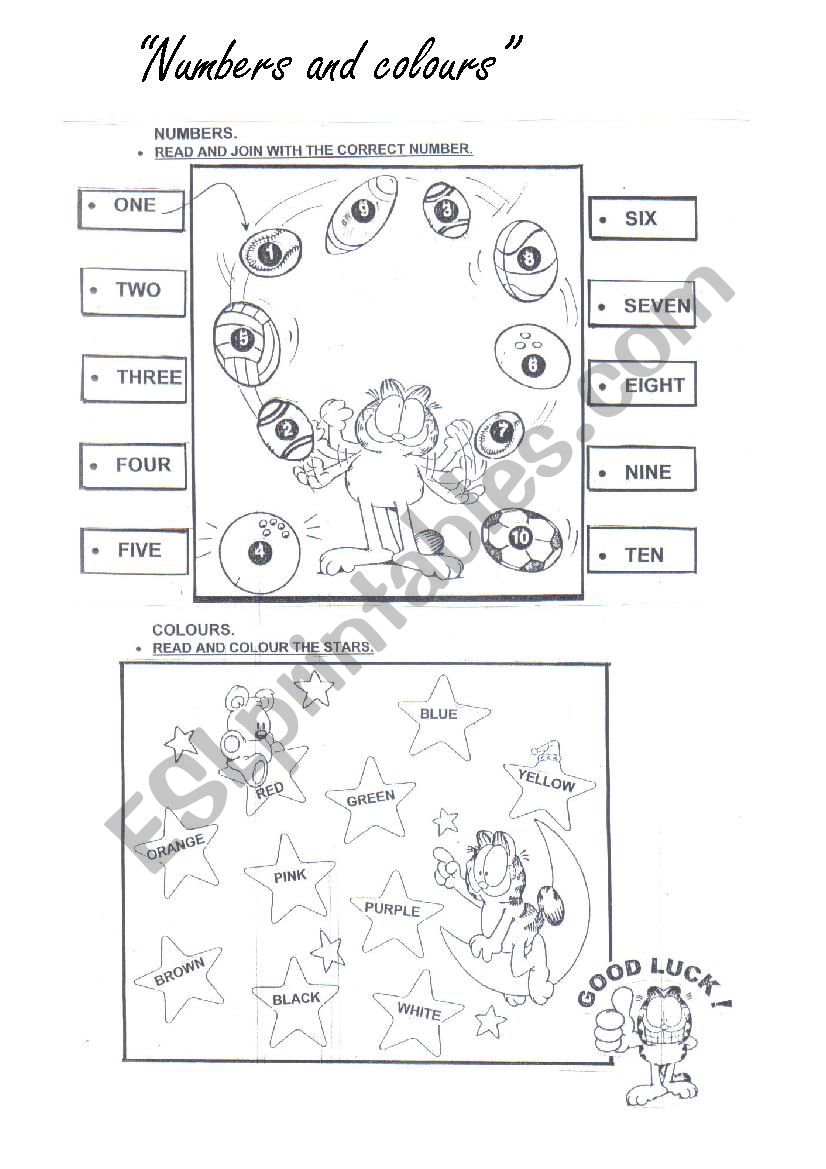 numbers and colours worksheet