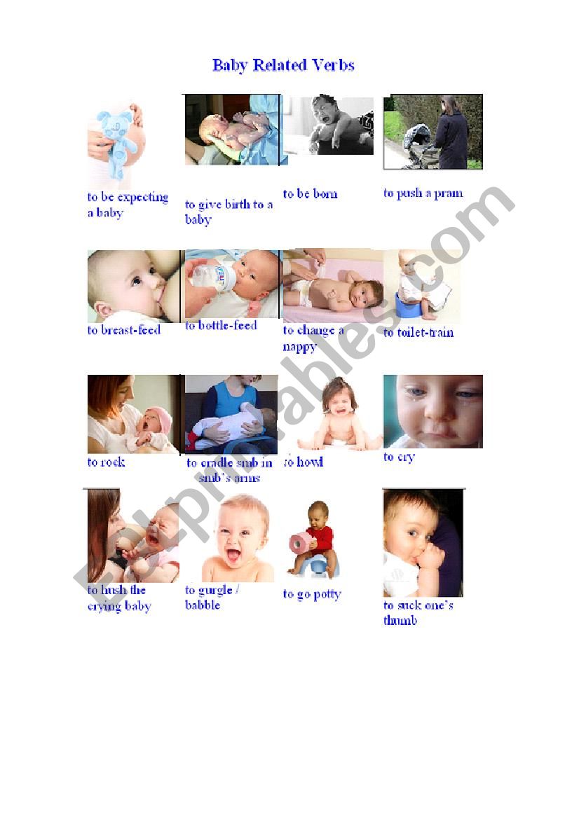 Baby Related Verbs 1 worksheet