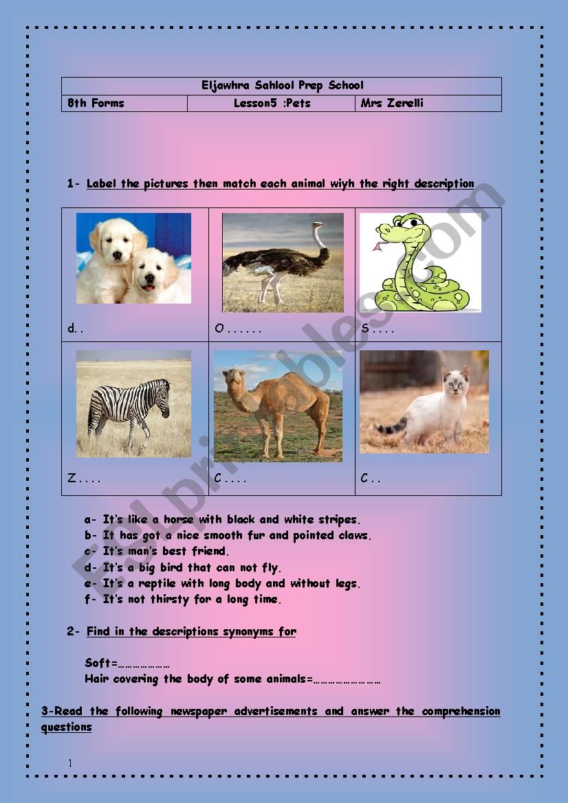 Lesson 5: Pets worksheet