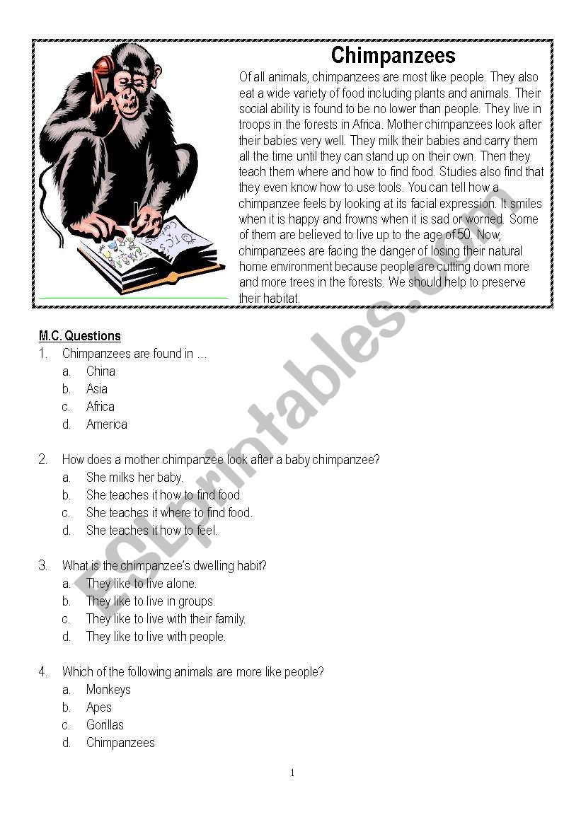 Chimpanzees worksheet