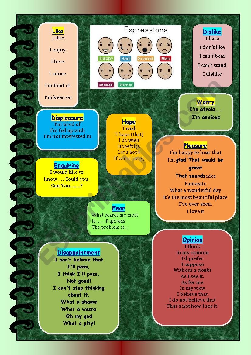 Useful expressions used  in class